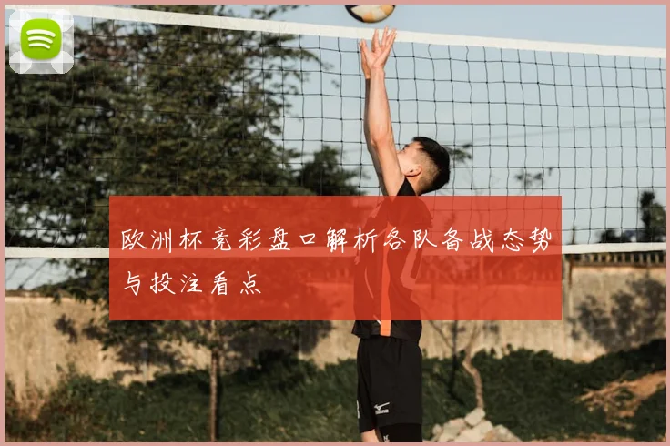 欧洲杯竞彩盘口解析各队备战态势与投注看点